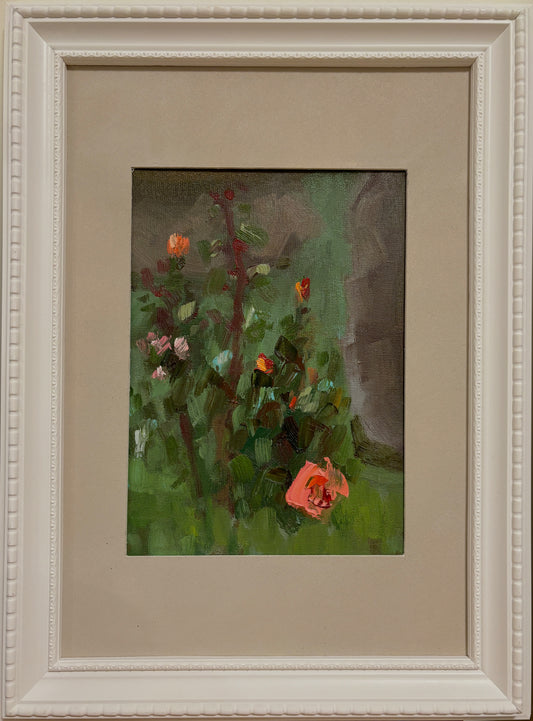 A Moment of the Rose