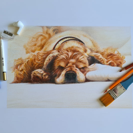 Custom Pet Portrait – Colored Pencil