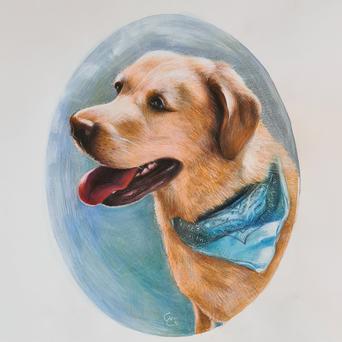 Custom Pet Portrait – Colored Pencil