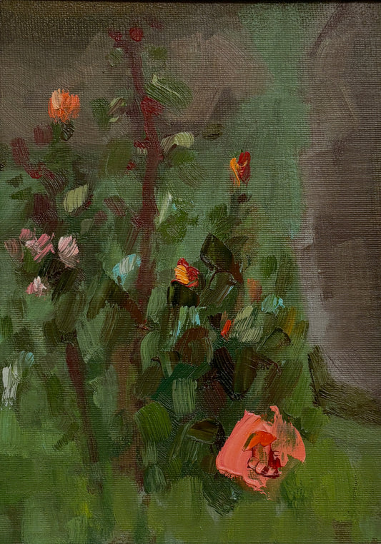 A Moment of the Rose